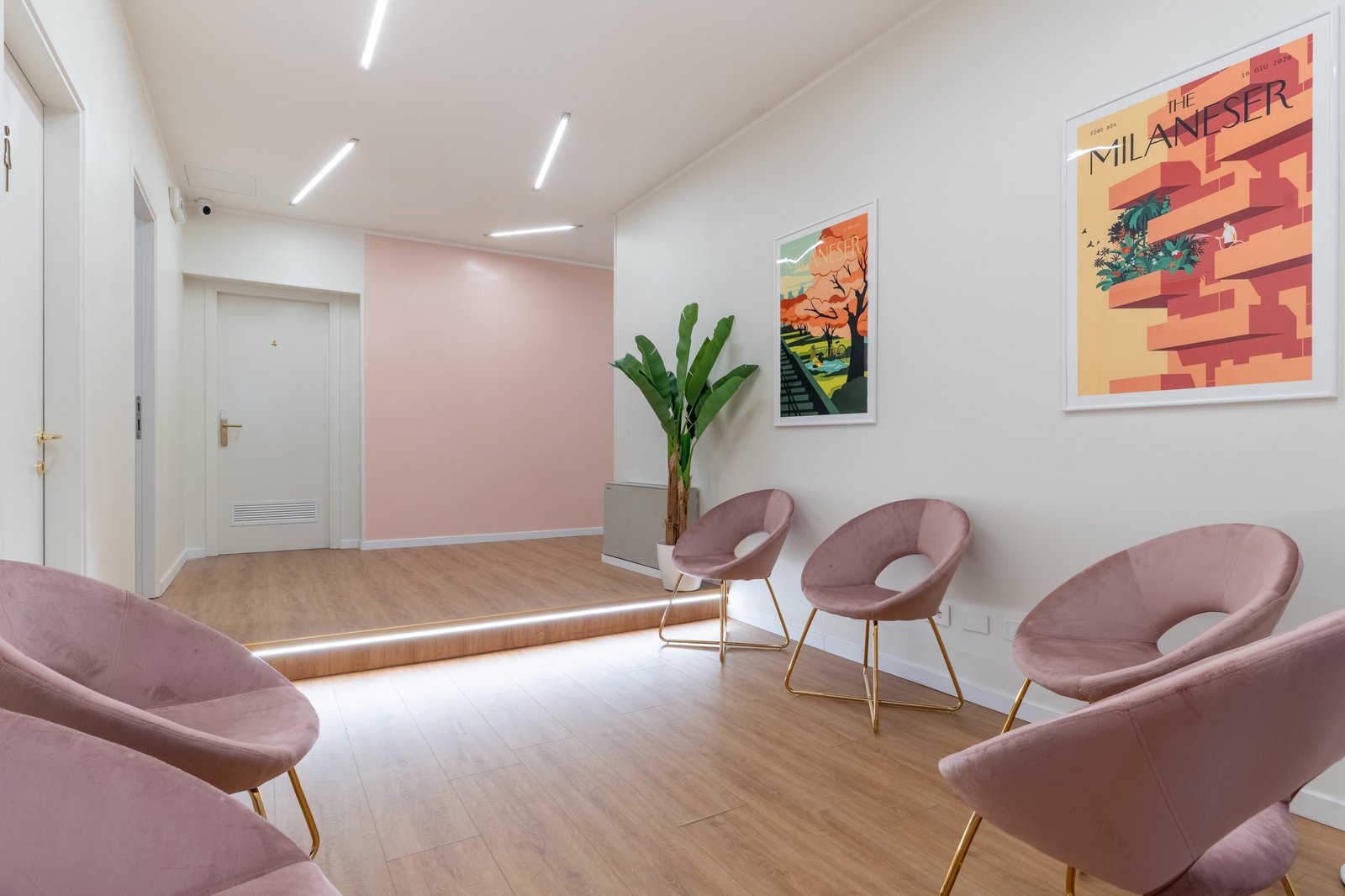 Sede-Spatium-ingresso