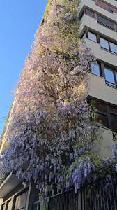 Sede Spatium Milano Coni Zugna