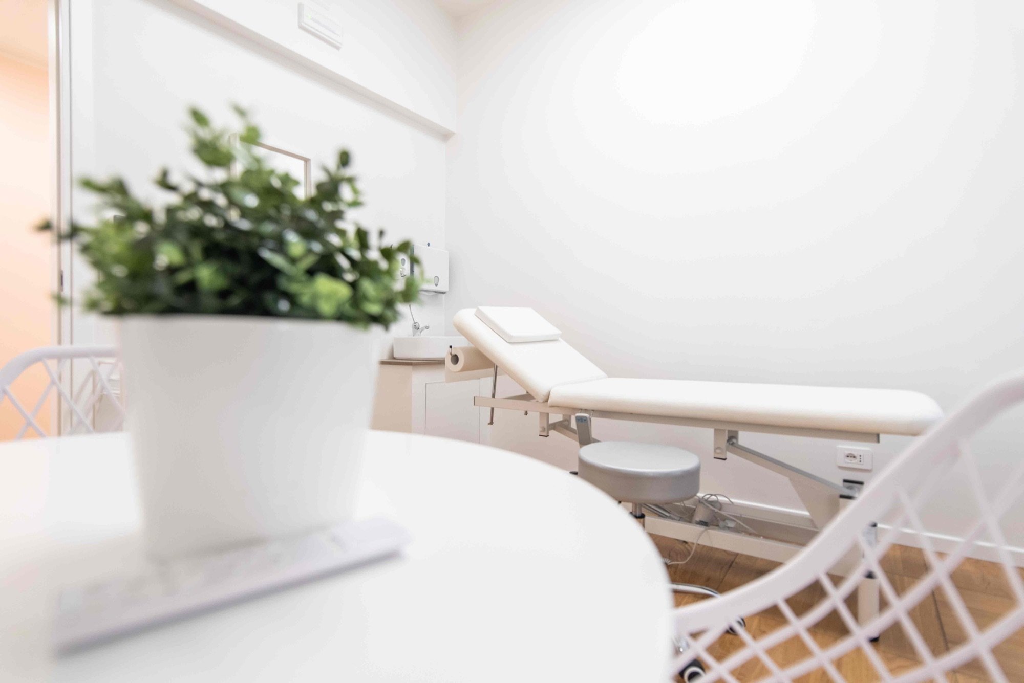 Dettaglio pianta su tavolo con lettino sullo sfondo in studio professionale Premium presso Spatium Corso Italia, Milano