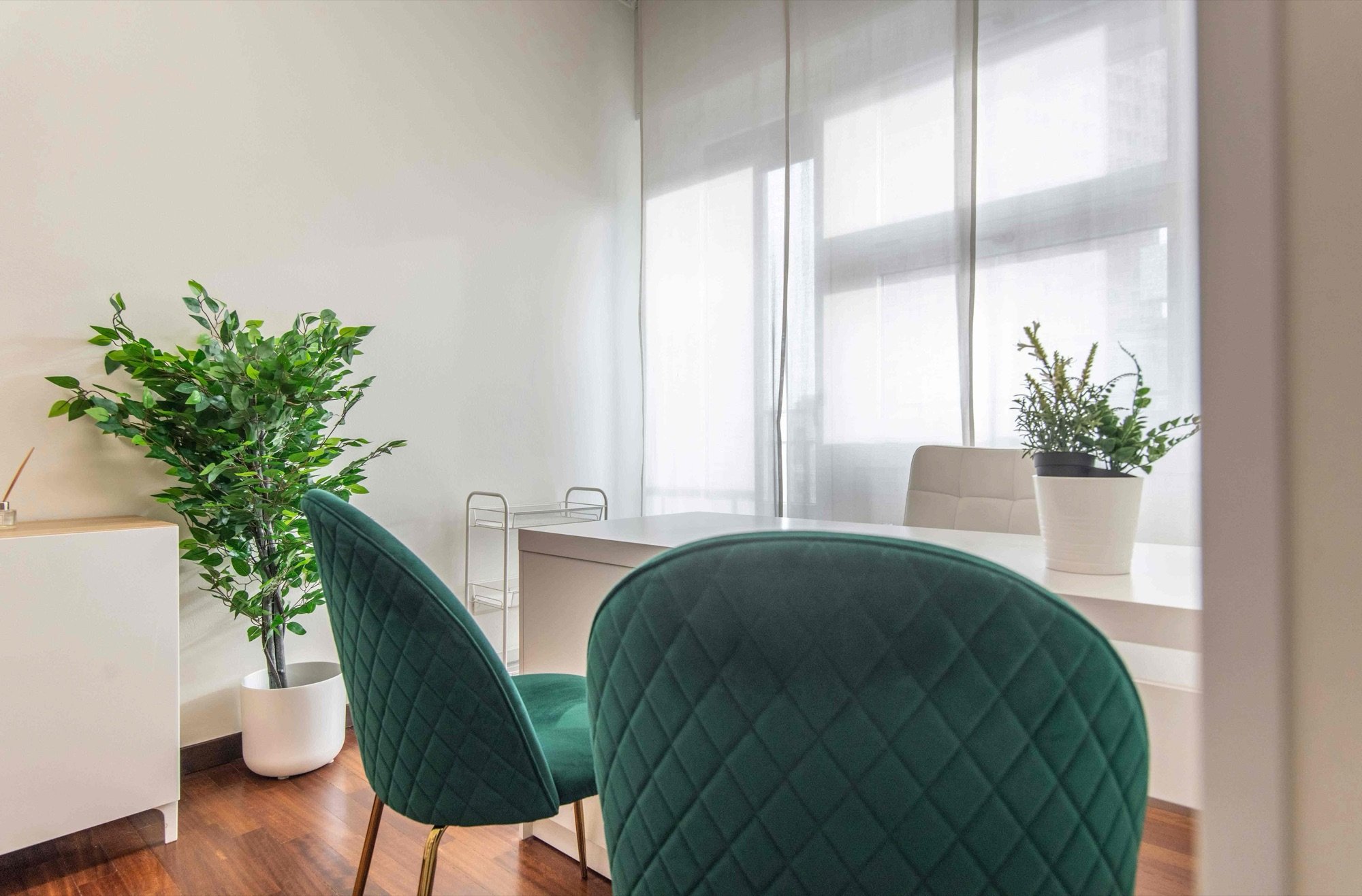 Dettaglio poltroncine verdi e piante vicino alla finestra in studio professionale Top presso Spatium Duomo, Milano
