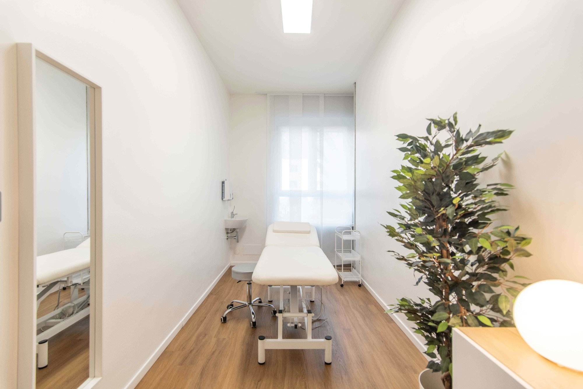 Lettino da visita con grande pianta vicino all'ingresso in studio professionale Standard presso Spatium Porta Romana, Milano