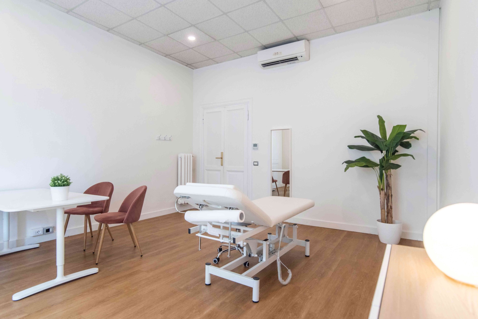 studio-olistico-roma-lettino-visita-tavolo-sedute-rosa-pianta-c500402